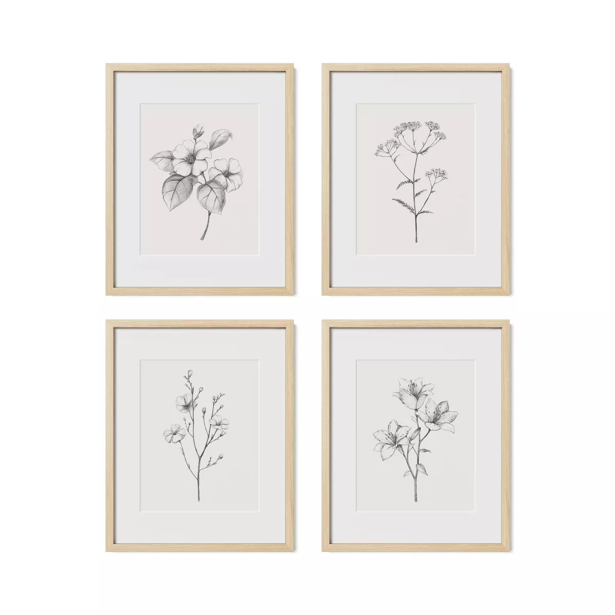 (Set of 3) Framed Antique Floral Print Set - Natural SHOWROOM ITEM