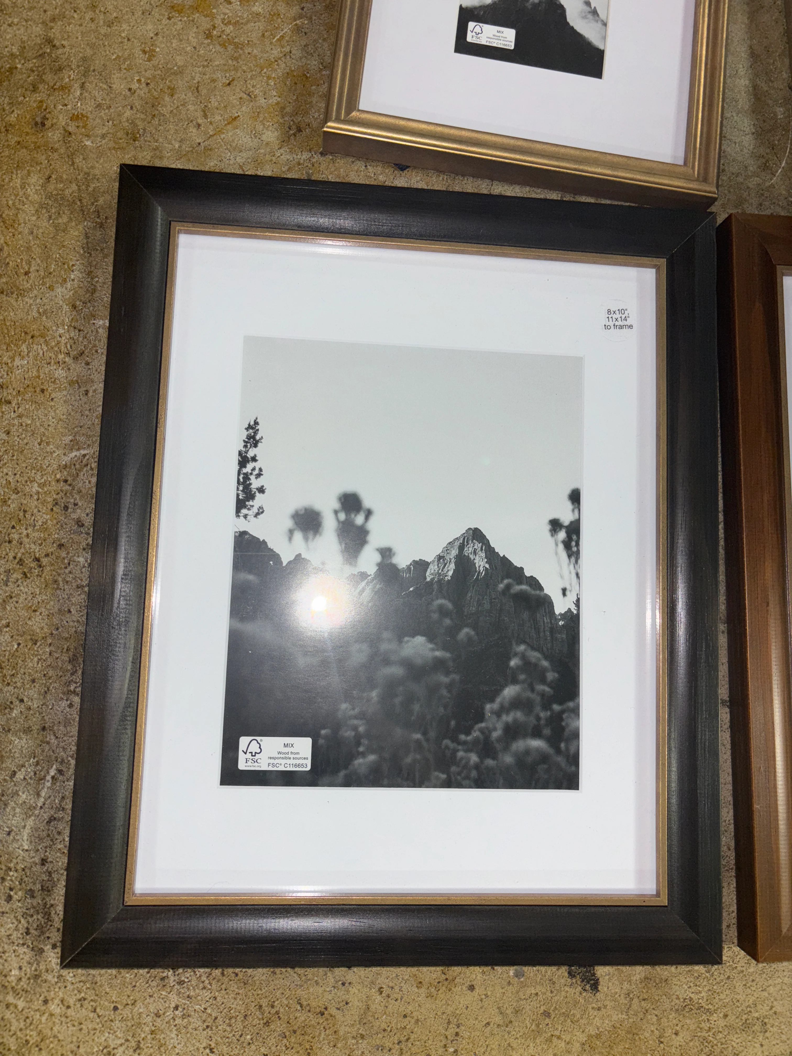 (Set of 5) Real Wood Gallery Frames SHOWROOM ITEM - Image 3