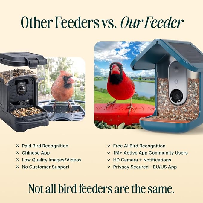 Solar Smart Bird Feeder with Camera - AI Bird Species Identification - Image 4