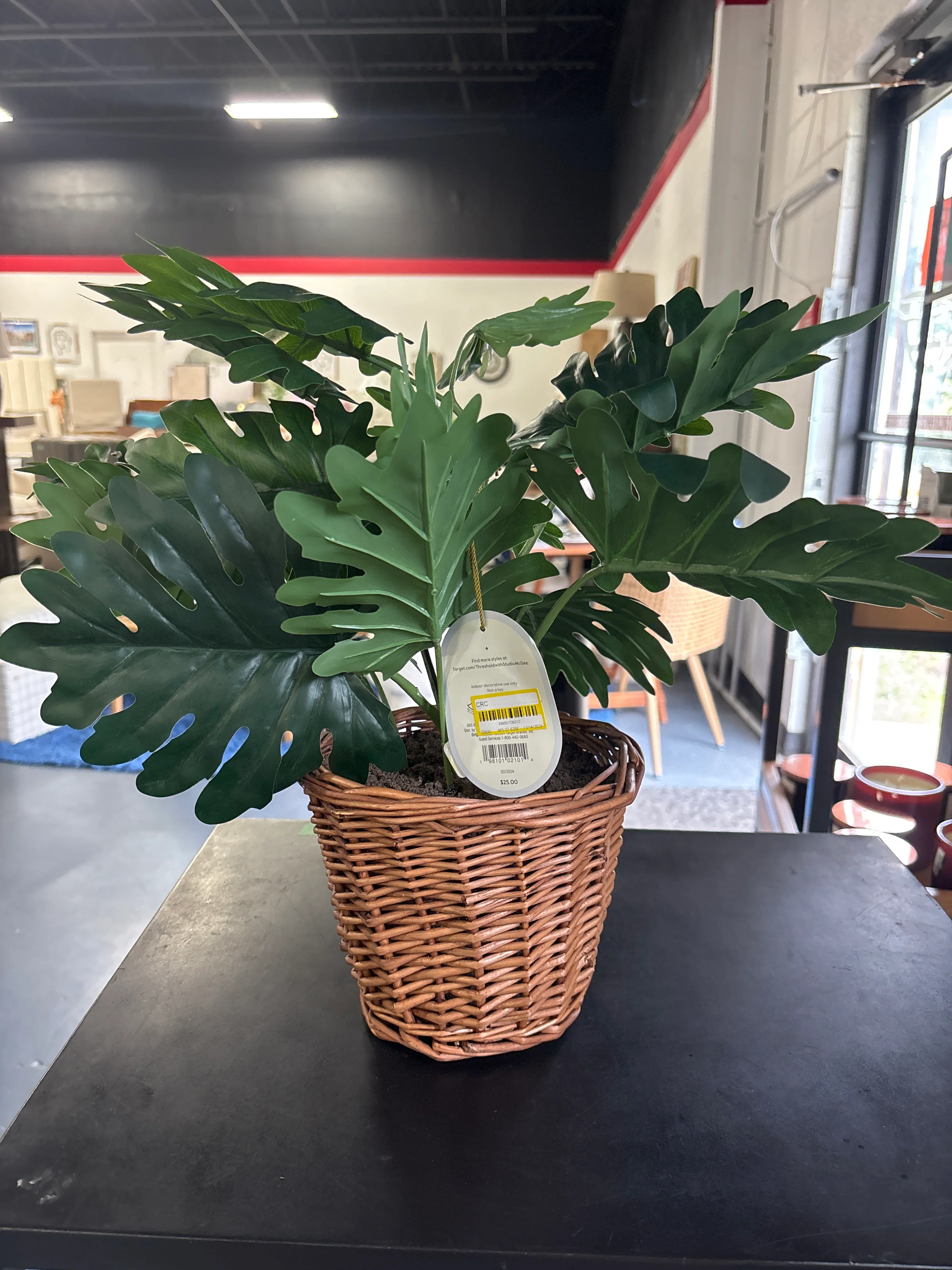 Studio McGee 18” Philodendron Decorative Plant in Basket SHOWROOM ITEM - Image 3