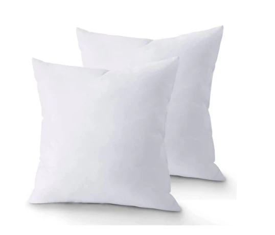 Throw Pillow Insert - Pack of 2 White