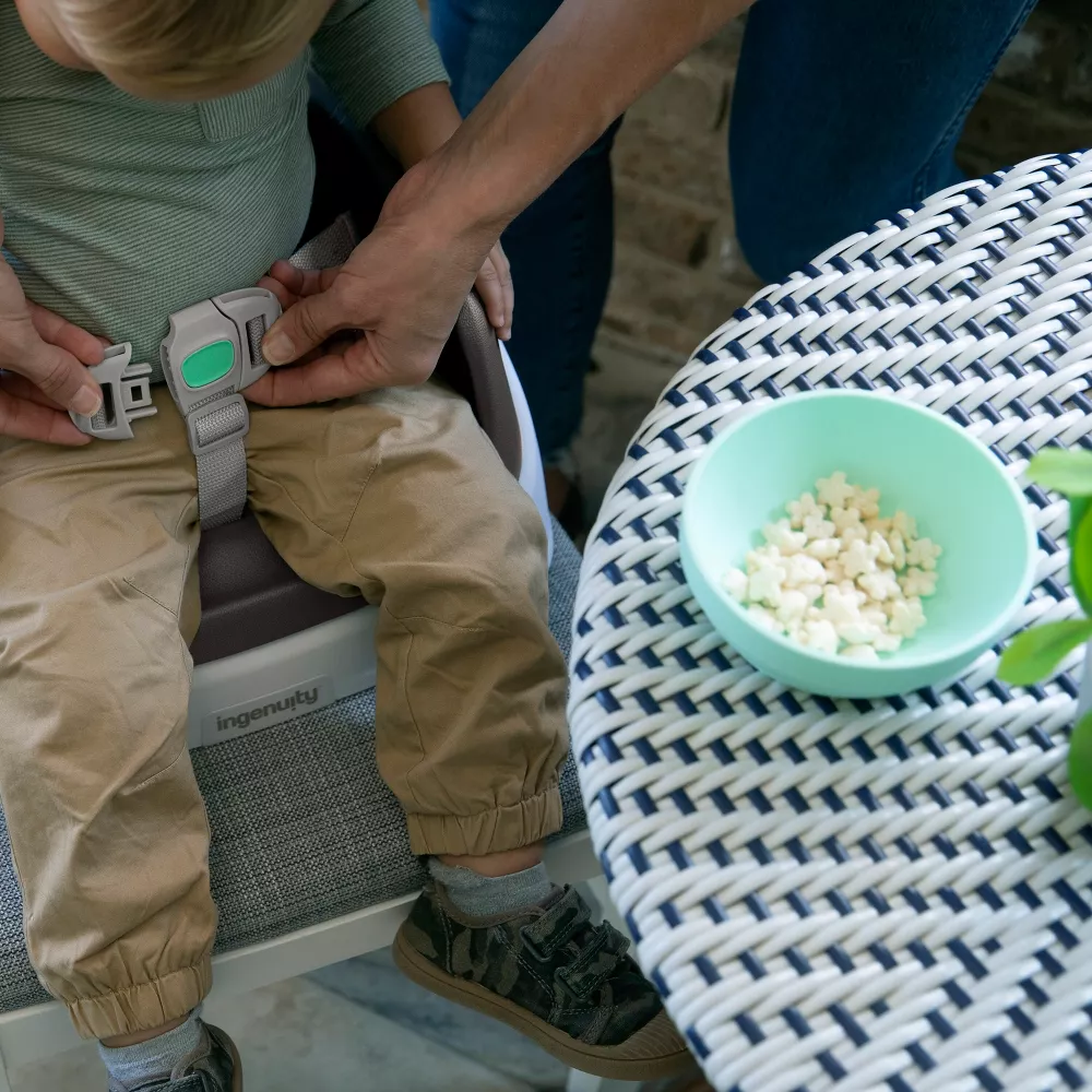Toddler Booster Seat - Slate - Image 4