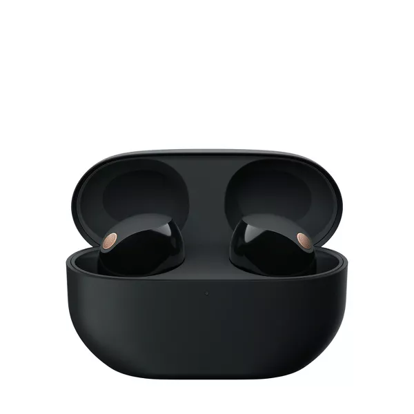 Sony True Wireless Bluetooth Noise Canceling Earbuds, final cut - Image 2