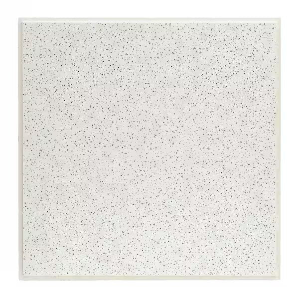 USG Radar Basic Ceiling Tile 1-Case