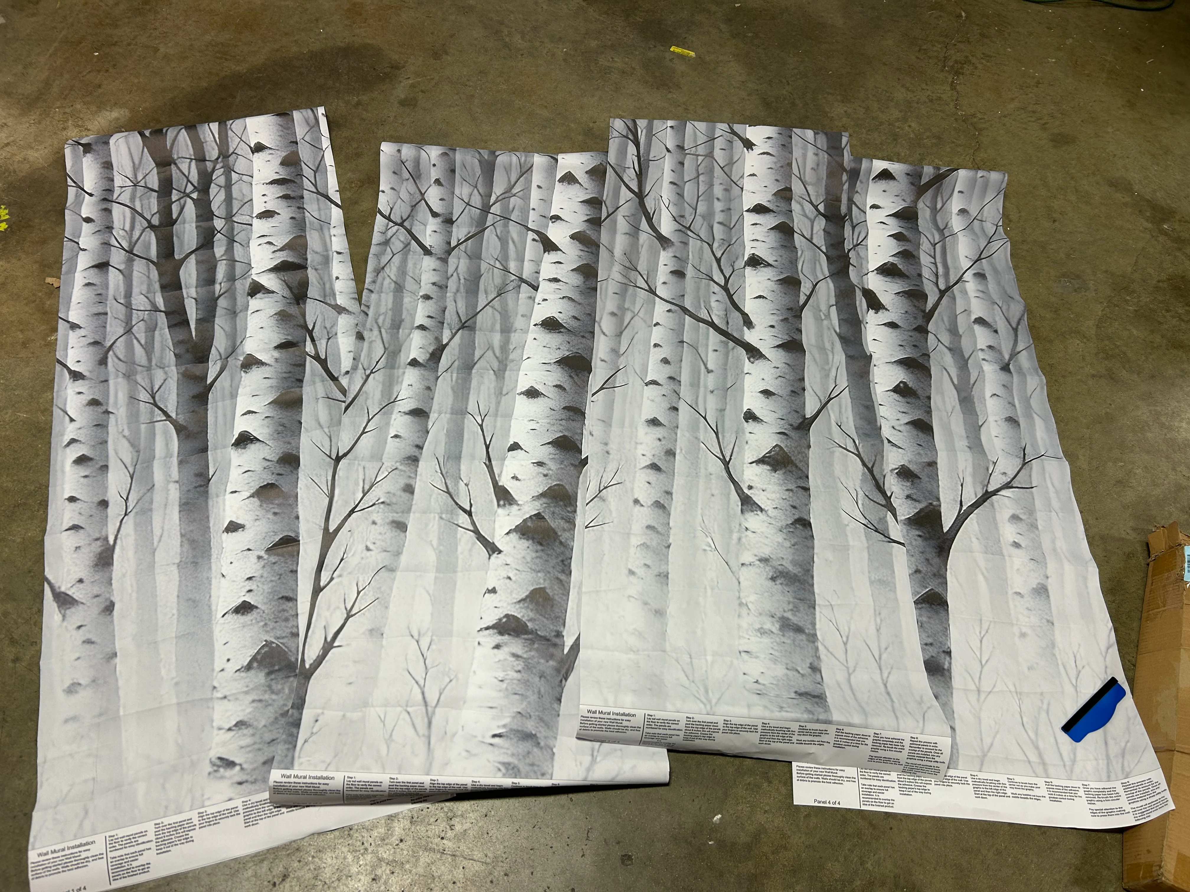 Wall Mural Peel and Stick Monochrome White Birch Tree Forest - Image 6